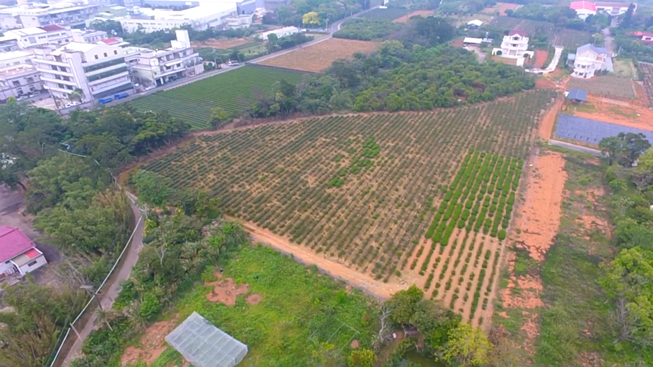 龍潭第二交流道旁便宜農地