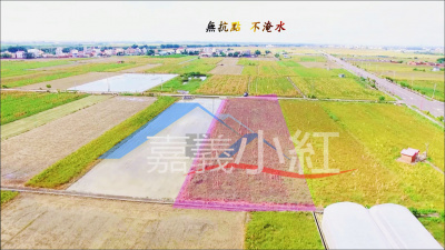 空拍環景...嘉義縣義竹鄉義竹農地**出售農地-1117**