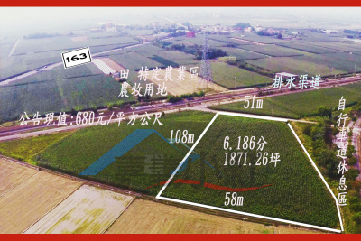 嘉義縣義竹鄉鐵馬道旁農地**出售農地-1102**