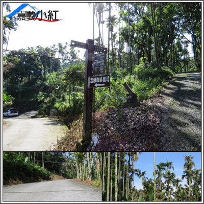 空拍環景..嘉義縣梅山鄉緩坡林地**出售林地-1070**