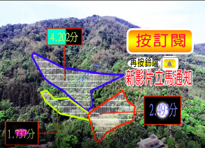 空拍環景...南投縣埔里鎮投65-1旁土地**出售農地-7**