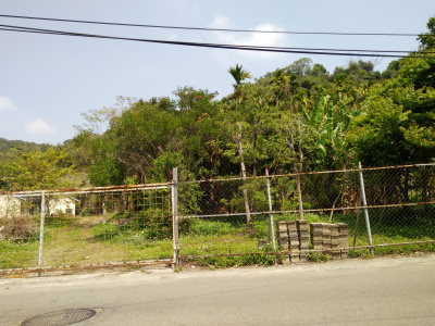 豐原東陽路正10米臨路丙建+農地