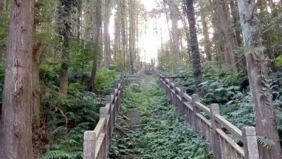 南庄休閒山坡地+4筆丙建