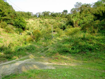 大河底便宜農牧用地*-*三灣超便宜山坡地