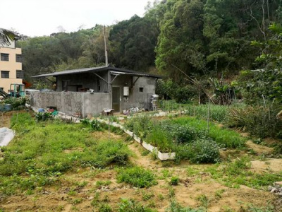 造橋休閒地*-*造橋土地房屋專業介紹