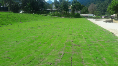 南庄丁建+農牧用地*-*正12米路邊