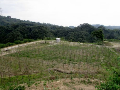 三灣沉香木休閒山坡地*-*成交快房屋