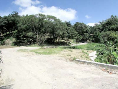 三灣悠閒山坡地 +大坪數建地