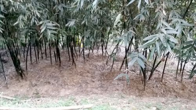 三灣投資山坡休閒地*-*三灣成交快房屋