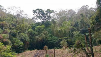 三灣便宜休閒山坡地*-*低於公告現值