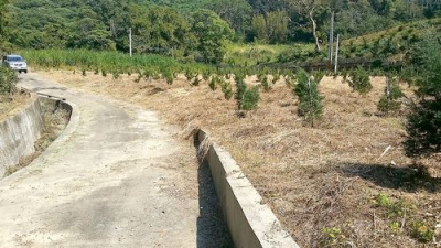 頭份濫坑真柏樹園地^~^已申請資材室