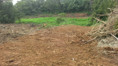 淡水區頂圭柔山段土地