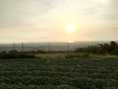 沙鹿都會公園景觀休閒地^~^鄰近靜宜大學周邊