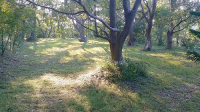 頭份後山優美休閒地*-*漂亮、清幽地點好