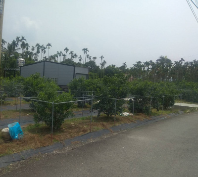 南投竹山紫南段三分半農地