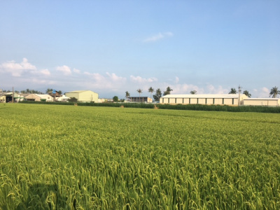 屏市鱸魚池農地