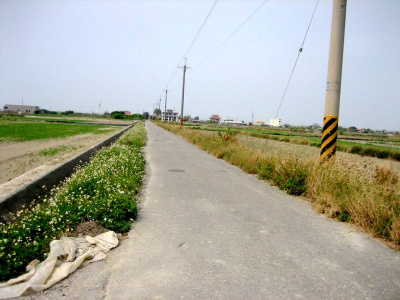 將軍漚汪西甲小段田地