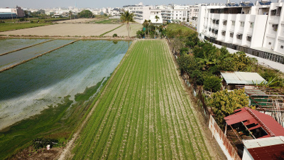 富強路1.5分農地