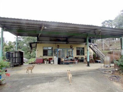造橋漂亮休閒地*-*苗栗造橋土地買賣