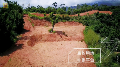 宜蘭農地--頭城山頂面海八甲園