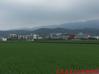 苗栗苑裡鎮鎮安十二路農地  臨8米路，地勢平坦