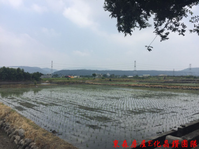后里三豐路旁正十米路農地