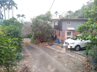 二高南投休息站後方景觀休閒果園