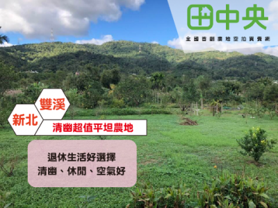 清幽產業道路,超值平坦農地