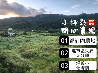 新北雙溪區500坪開心農場