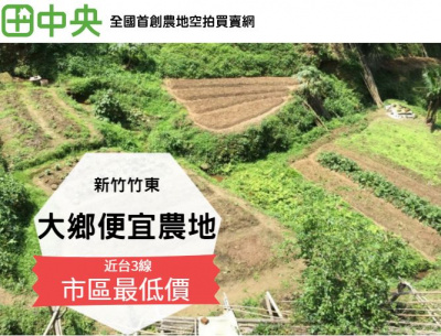 竹東大鄉便宜農地