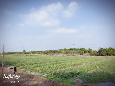 台南市新化虎頭埤旁增值農地