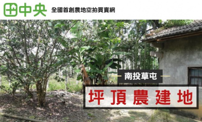 坪頂農建地