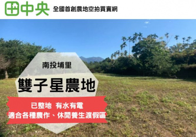大坪頂雙子星農地