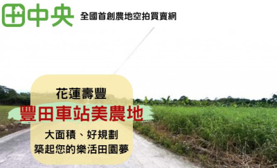 豐田車站美農地