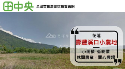 壽豐溪口小農地