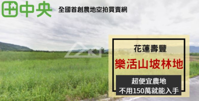 壽豐樂活山坡林地