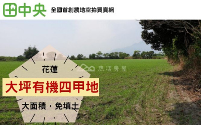 大平有機四甲地
