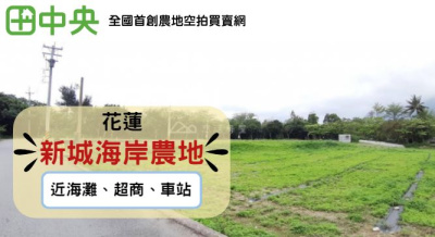 新城海岸第一線農地