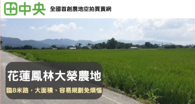 花蓮鳳林大榮農地