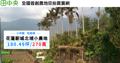 花蓮新城北埔樂活小農地