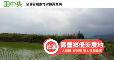 花蓮縣壽豐鄉大坪段優美農地