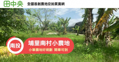 南村小農地