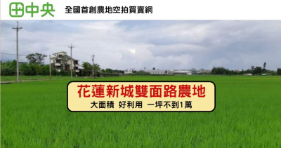 佳林雙面路農地