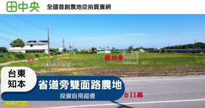 知本路二段省道旁農地
