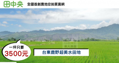 瑞源3.8甲水田地