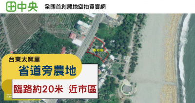 太麻里正省道旁農地