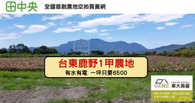 鹿野四維1甲農地