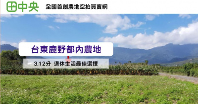 北一路都內農地3.12分