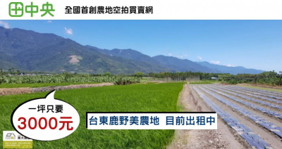 瑞源新和路農地1.2甲