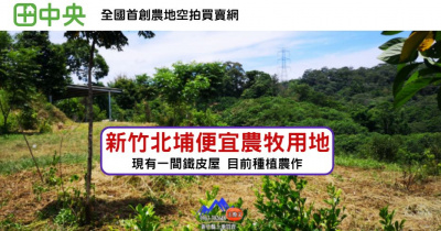 北埔寶二水庫茶樹園